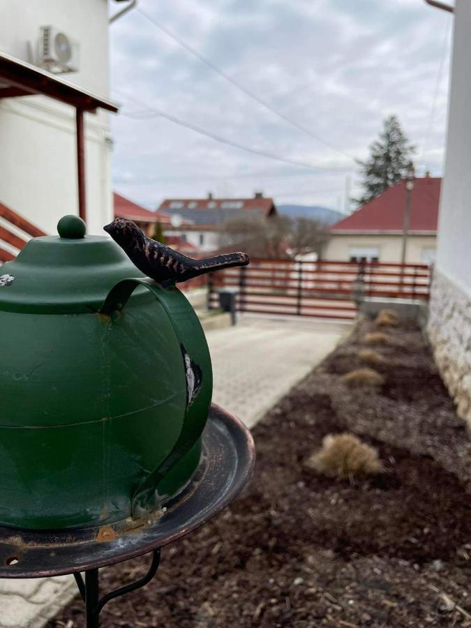 Ezuest Boroka Apartman Eger Eksteriør billede